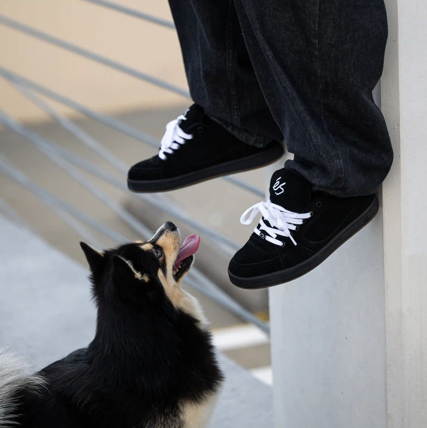 accel - skate shoes - black - esskateboarding